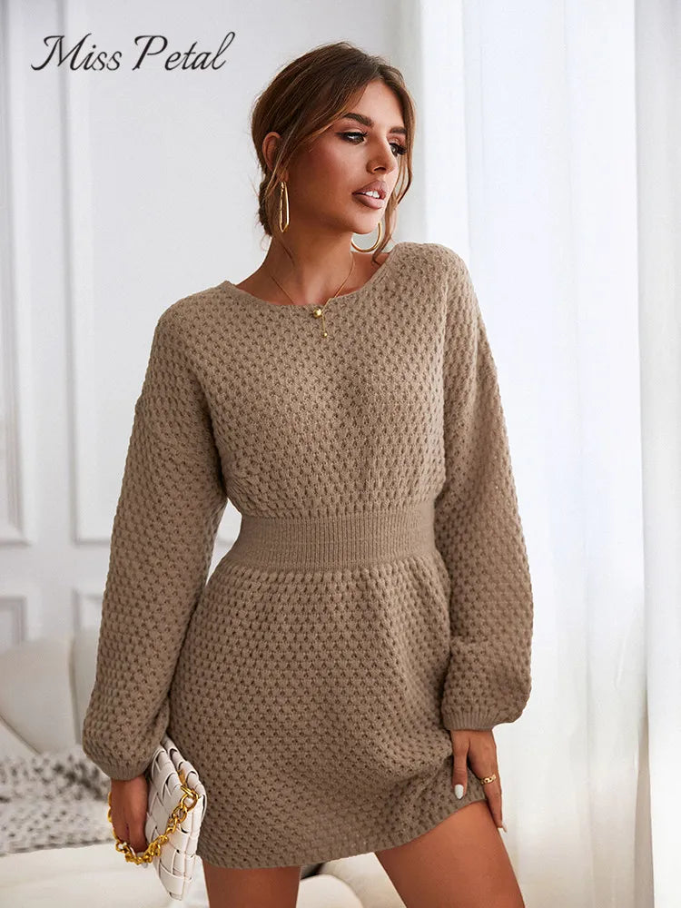 Casual Long Sleeve Long Sweater Dress