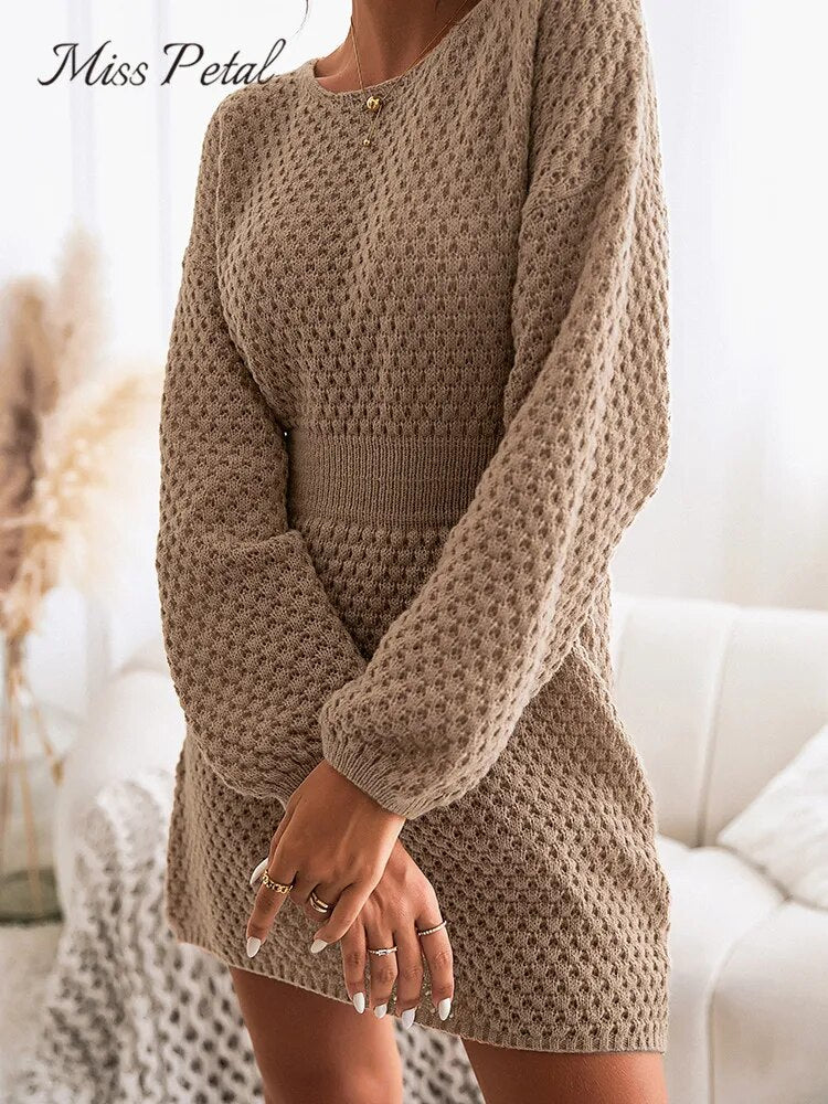 Casual Long Sleeve Long Sweater Dress