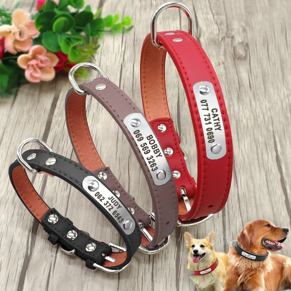 Leather Dog Collar Durable Padded Personalized Pet ID